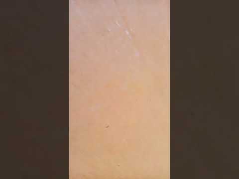 war did video