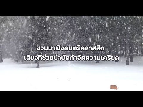 ชวนมาฟังดนตรีคลาสสิก เสียงที่ช่วยบำบัดกำจัดความเครียด