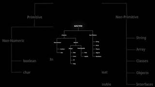 Data type with branches #explore #coding #education #trandingnow #courses #tools #frontendcourse