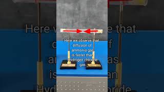 Diffusion of Ammonia and Hydrogenchloride Gases #shortvideos #science