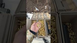 Gold Nuggets of Freedom