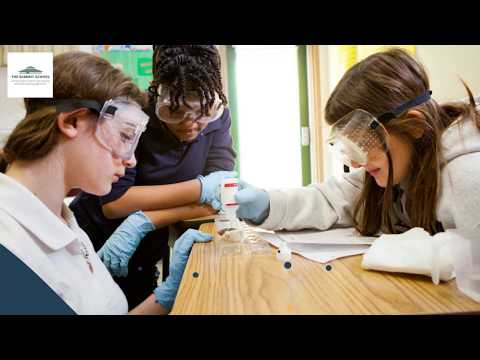 Is Your Child Struggling in School? The Summit School Can Help