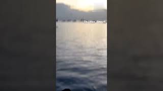 Funny Editing | Funny Editing Video #funnyediting