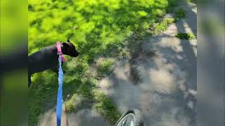 Exploring Hidden Bike Trails: Scenic Rides & New Discoveries