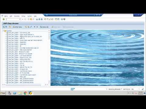 SAP LOGON Screen  GUI NAVIGATION ||SAP-BI/BW