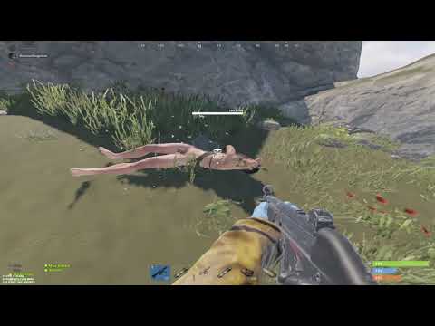 Amazon Prime free farm delivery (Rust)