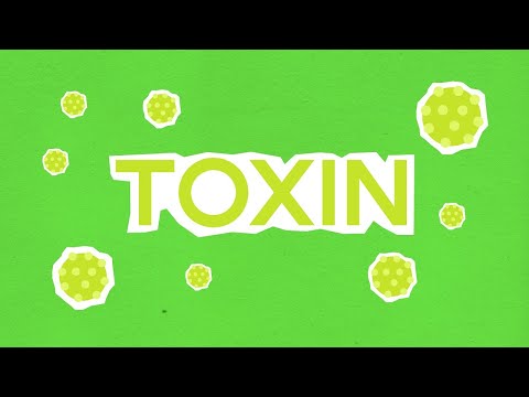 (2분 정보) 건강 최대의 적, 몸속 독소 쉬운 제거 방법