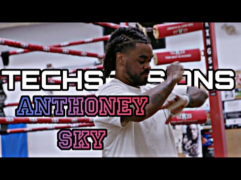 Anthony Sky x Techsessions #boxing #boxingdrills #toronto #boxingcoach