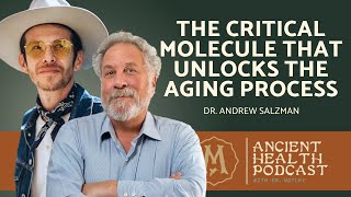 419: The Critical Molecule that Unlocks the Aging Process | Dr. Andrew Salzman