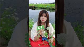 【尝百草】【蛇床】相传蛇喜欢在它底下睡觉，因此叫它蛇床 #蛇床 #蛇床子 #大自然在我手中 #植物科普 #一日一植物【养生堂】#养生