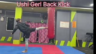 Practice Ushi Geri with proper technique