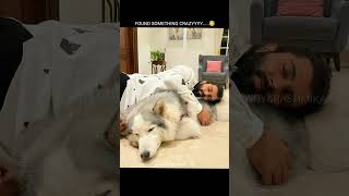 Vijay Deverakonda n Rashmika #married #love #rashmikamandanna #bollywood #vijaydeverakonda #virosh