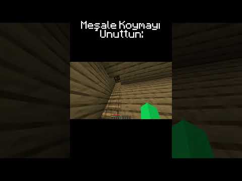 minecraft meşale