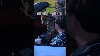 When Nobody Believes In You 💵 #moneymotivation  #millionairevibes