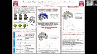 Meta-Analysis of Explore-Exploit Decisions Reveals Convergence in the Salience Network