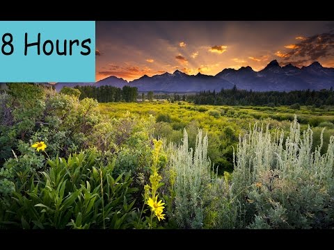 8 Hours Nature White Noise for Sleeping, Studying, Meditating and Relaxing