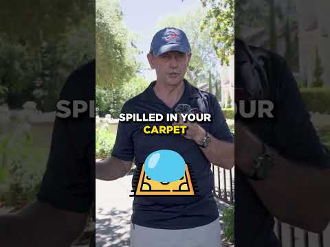 Prevent Mold & Dry Up Wet Spots in 24 - 48 Hours