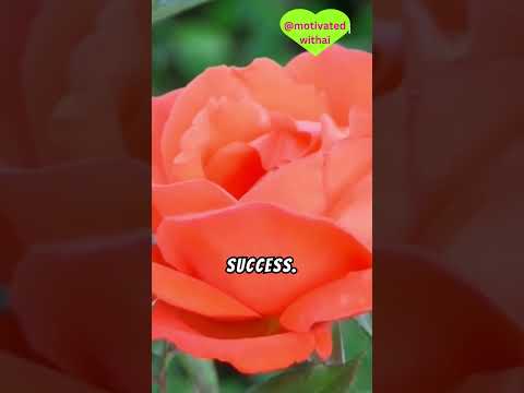 "TIME: The Student’s Secret to Success" #StudentSuccess #StudyMotivation#time #viralvideo#timeuse