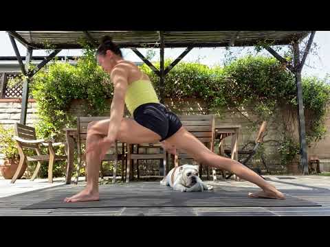 Ashtanga Yoga Primary series;  Fundamental Asana ♥️🙏♥️