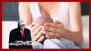 A global population crisis is here — And America may be heading down the same path