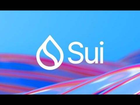 SUI 101: THE BASIC