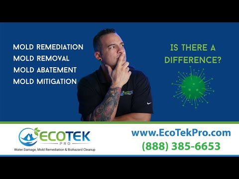 What Is Mold Remediation? | Mold Removal vs. Mold Abatement vs Mold Mitigation