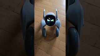 Loona plays Bruce Lee🥷🥷🥷#robots #ai #loonarobot #petrobot #funnyvideo #airobots #brucelee #keyitech