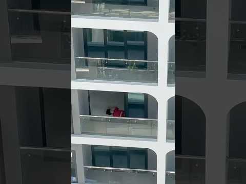 Meanwhile, next door on the construction site… 😴🛠️