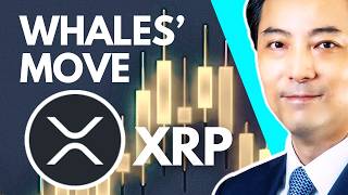 Ripple (XRP) Price Wyckoff Analysis : Whales Control Your Win Or Lose!