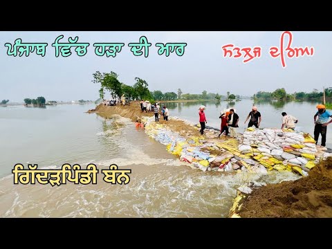 ਪੰਜਾਬ ਵਿੱਚ ਹੜਾ ਦਾ ਮਹੋਲ ➡️ ਗਿੱਦੜਪਿੰਡੀ ਬੰਨ ਲੋਹੀਆ ਜਲ਼ੰਧਰ #punjabfloods
