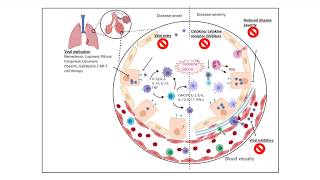 Covid-19 drugs in clinical trials: mechanism simplified