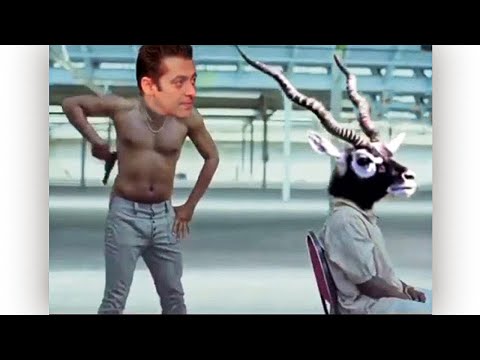 SELMON bhai ka khauf | meme review #2