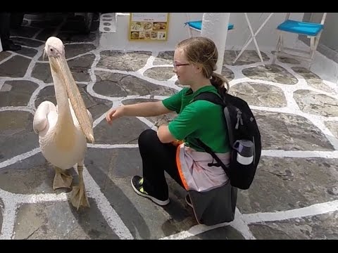 Pivotal Patmos & Magic Mykonos, Greece (Ep. 07) | Sailing Catamaran Element