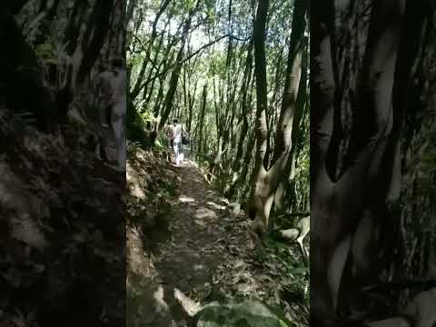 #travel #hikingadventures #exploringthenature
