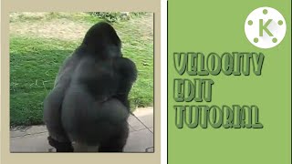 Velocity Edit Tutorial...Kinemaster