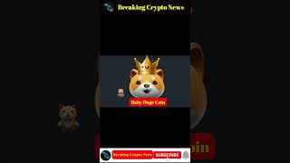 Breaking Crypto News | BabyDoge Ranked As Top Crypto