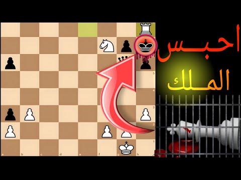 استراتيجيات الشطرنج المتقدمة: حل الألغاز الشطرنج - الجزء الثامن