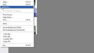 How to Create Web Pages Using HTML : How to Re-Size a Picture With a Paint Program