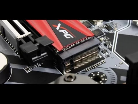 SSD Not Detected in BIOS [How to Fix It]