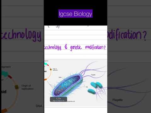 Plasmid of Bacteria | IGCSE Biology Biotechnology