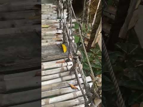 I'll CROSS the BRIDGE when I get there #shorts