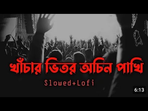 খাচার ভেতর অচিন পাখি | Kachar Betor Ochin Pakhi | Slowed+Lofi | Lalon Shah |sheikh istiaq