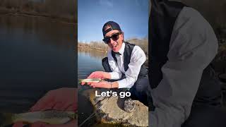 Chat is this beginners luck? Two brown trout first time fishing in utah. #fishing #trout #browntrout