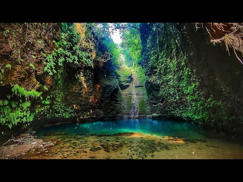 #shorts  #trending #trendingshorts #trend  #nature #naturelovers #naturelovers #naturephotography