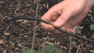 Drip Irrigation Basics for the Garden #gardentips #dripirrigation #dripirrigationsystem