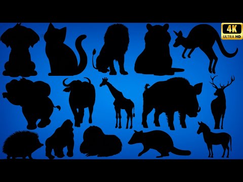 Guess the Land Animal by Its Shadow! 🐾 45 Fun Shadow Animal Quiz Challenges for Kids & Families