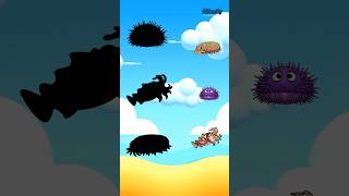 Guys, can you find the sea urchin’s shadow? #guessthepicture #marineanimals #animals #animation