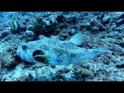 Bali, Indonesia - Part 1