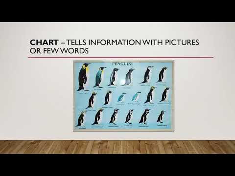 Nonfiction Text Features Video Lesson