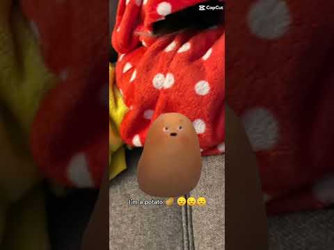 potato